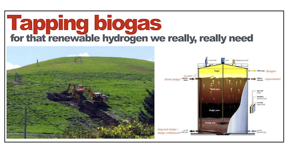 Biogas as a source of hydrogen