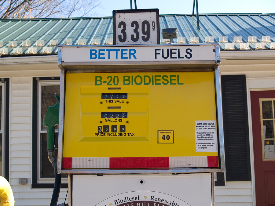 Biodiesel pump