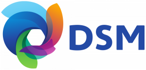 DSM logo