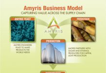 AMRS 2010 Business model