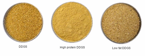 fractionation of corn