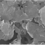 Graphene Nanoplatelets