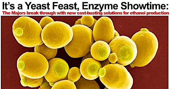 yeast feast