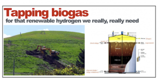 Biogas as a source of hydrogen