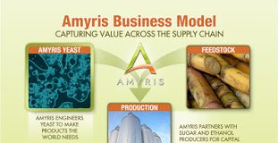 AMRS 2010 Business model