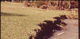 Topsoil lost in flood of the Guadalupe river,