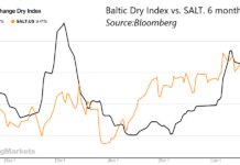 6 month BDI/SALT chart